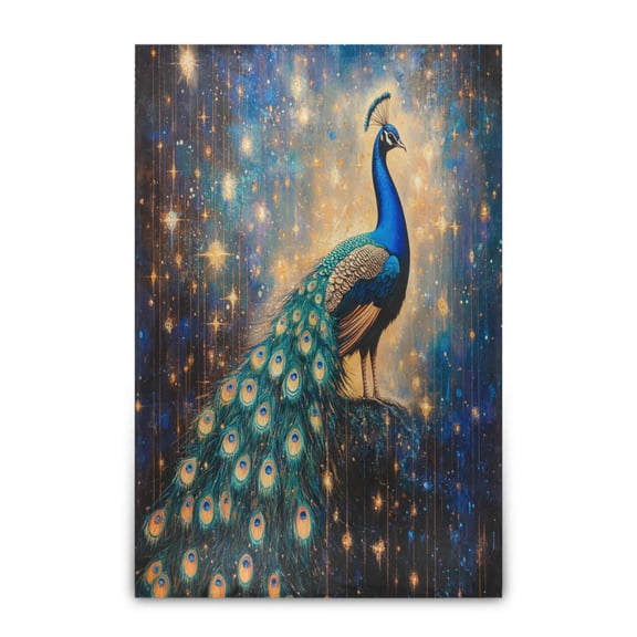 Wobogo Starry Peacock Soft Cozy Fluffy Double Sided Blankets for Couch Sofa Chair Bed Camping Picnic Travel Lightweight Bed 6090inch