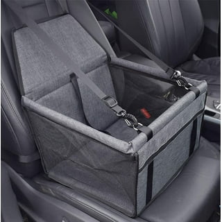 Dog box best sale car seat