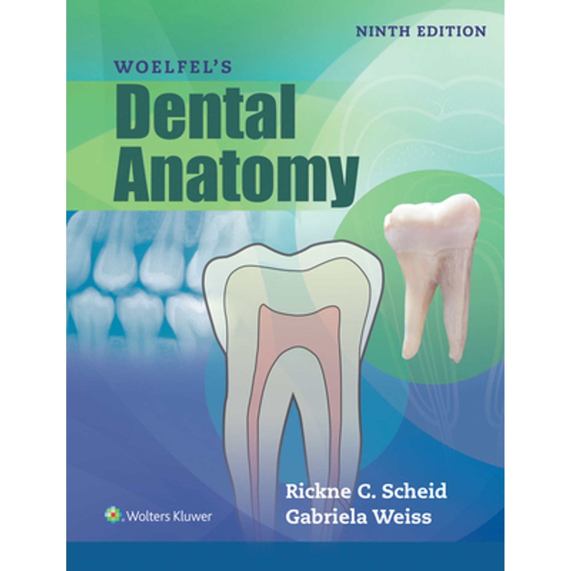 Pre-Owned Woelfels Dental Anatomy, 9781496320223, 1496320220, Paperback, 9 edition