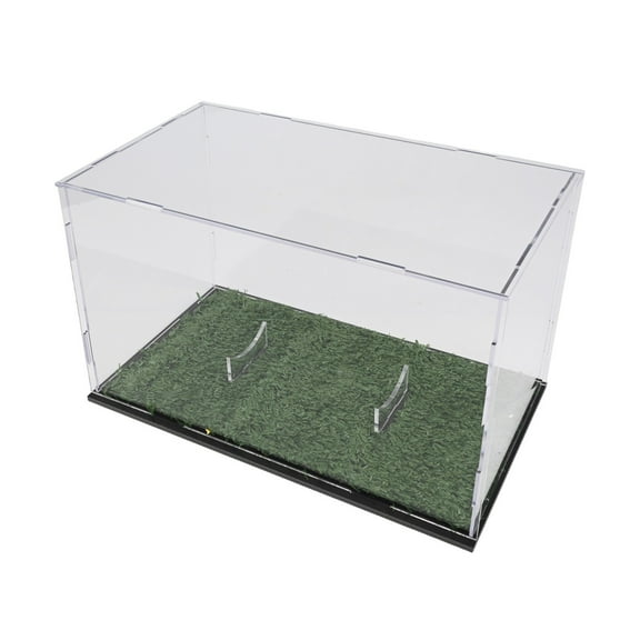 Wofarmy Compact Acrylic Storage Box for Standard Size Footballs and Rugby Balls Green