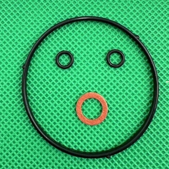 Wofarmy Rubber Gasket Kit for Honda Eu1000I Eu2000I Carburetor Rebuild 16010Zm7D01
