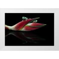 thumbnail image 1 of Wolbers, Louise 18x13 White Modern Wood Framed Museum Art Print Titled - Lema Frogs, 1 of 4