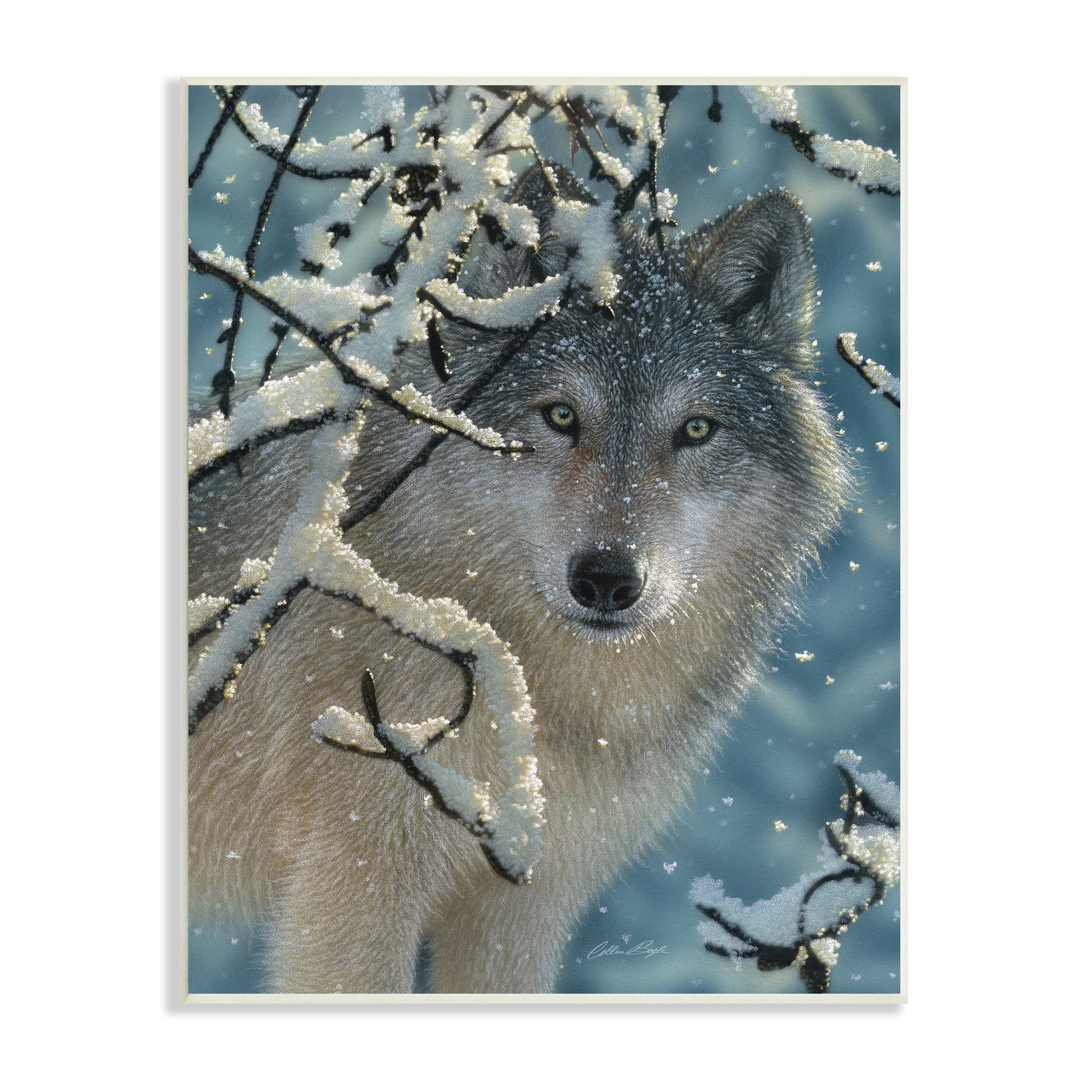 Wolf Behind Snowy Branches Winter Wood Framed Art Print