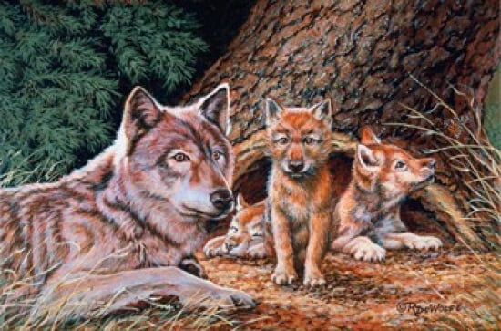 Wolf Den Canvas Art - Richard De Wolfe (29 x 20)