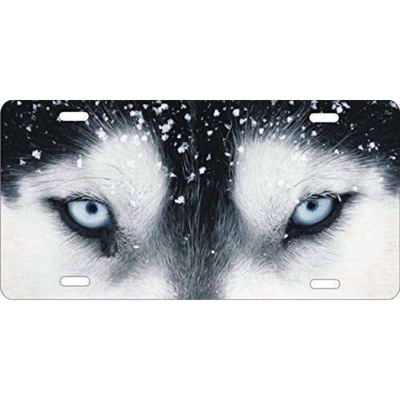 Wolf Eyes Novelty Front Plate Decorative Vanity Aluminum car tag 12 x 6 inches Siberian Husky