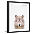 thumbnail image 1 of Wolf Framed Photographic Print by Tai Prints, 12" x 16", Sold by Art.com, 1 of 1