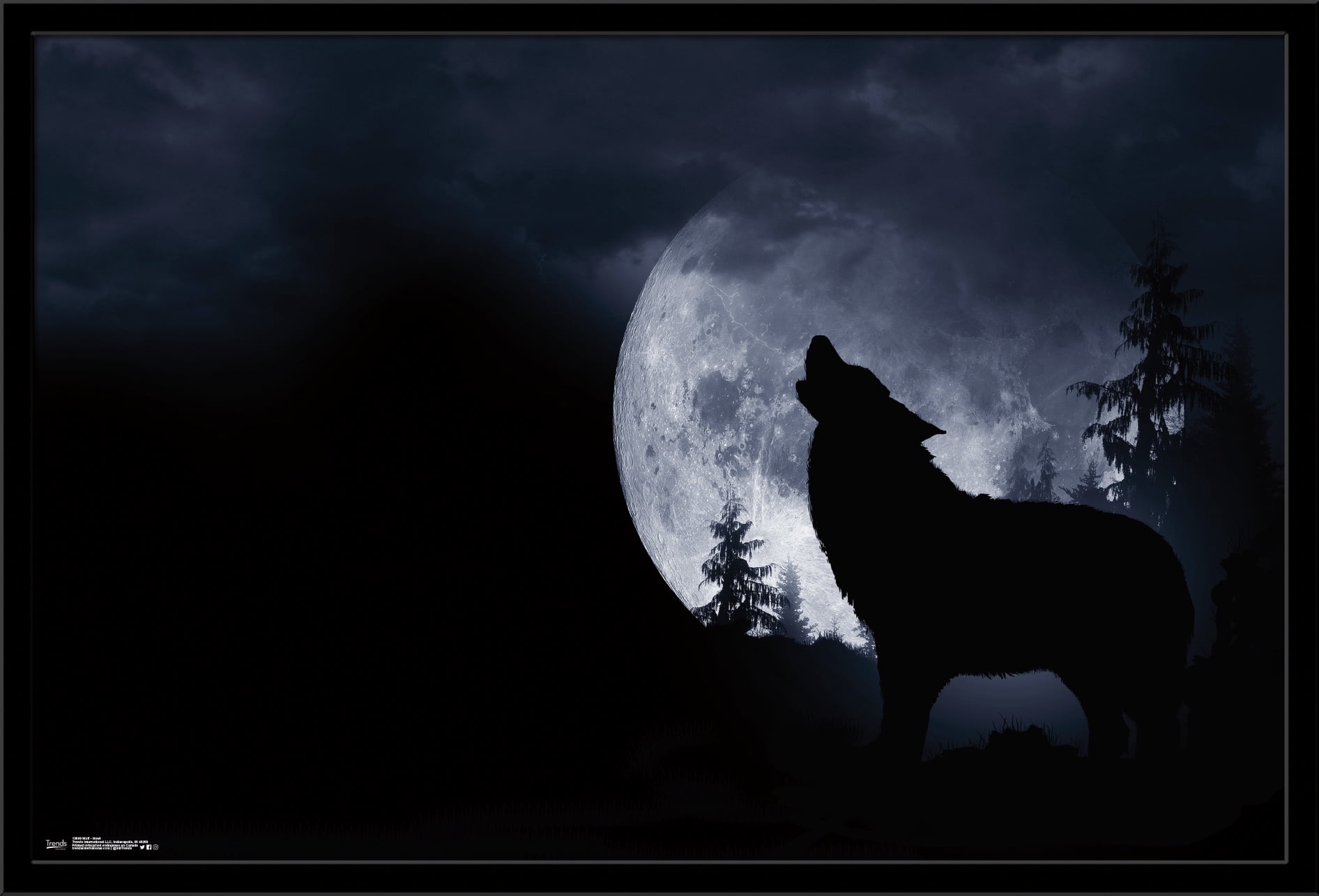 Wolf - Howl Wall Poster, 22.375" x 34", Framed