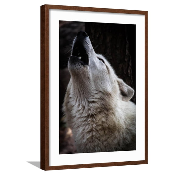Art.com Wolf Howling Art Print by Lantern Press, Brown Frame Wall Art, 21" x 29"