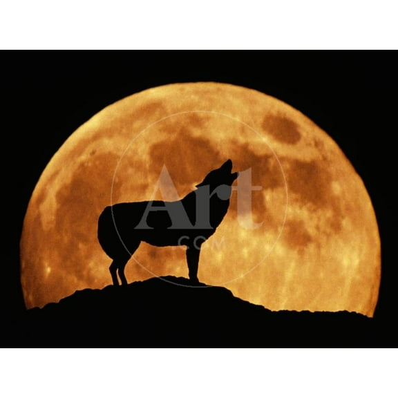 Wolf Howling at Full Moon, Side View in Silhouette, Animals Unframed Photographic Print Wall Art Sold by Art.Com