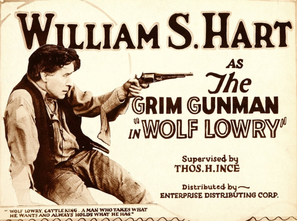Wolf Lowry Canvas Art - (28 x 22)
