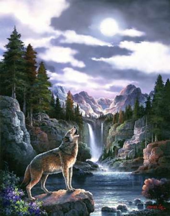 Wolf Moon Canvas Art - James Lee (22 x 28)