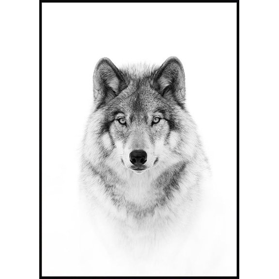 Wolf Poster Wall Art, Modern Wall Decor For Living Room Bedroom, 16x24 UNFRAMED