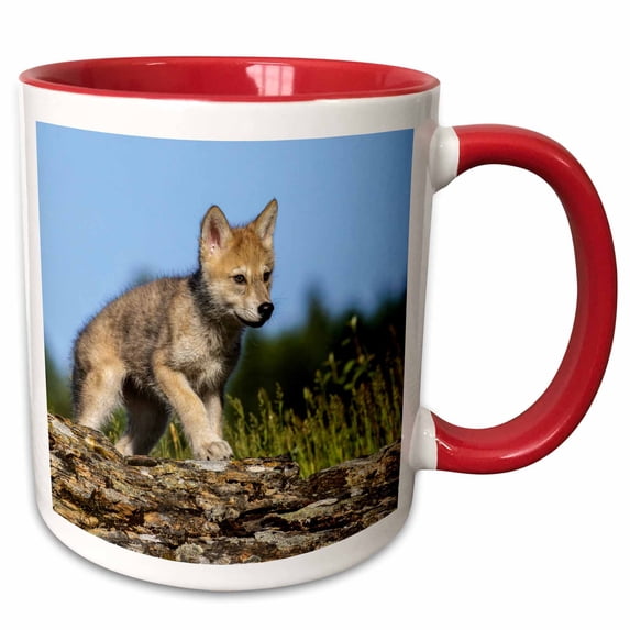 3drose, Wolf Pup., 11oz Two-tone Red Mug