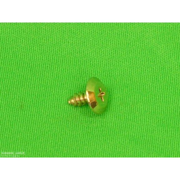 Wolf SCREW 8 X 38 MOD TRUSS HD 9007307
