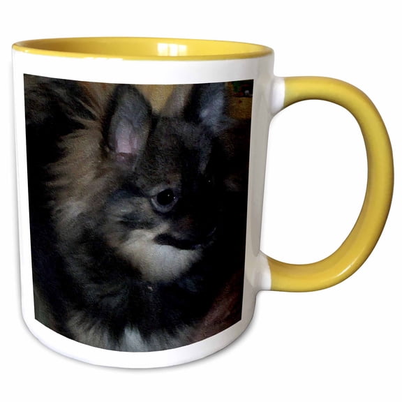 3drose, Wolf Sable Pomeranian Oil Painting, 11oz Two-tone Yellow Mug