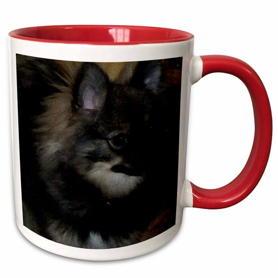 3drose, Wolf Sable Pomeranian Oil Painting, 15oz Two-tone Red Mug