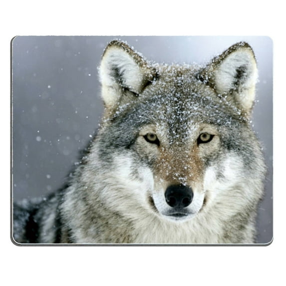 Wolf Snow Mouse pads Gaming Mouse Pad 9.84x7.87 inches
