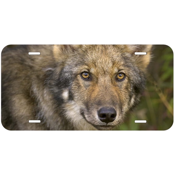 Wolf TAG11 Novelty Car Auto License Plate