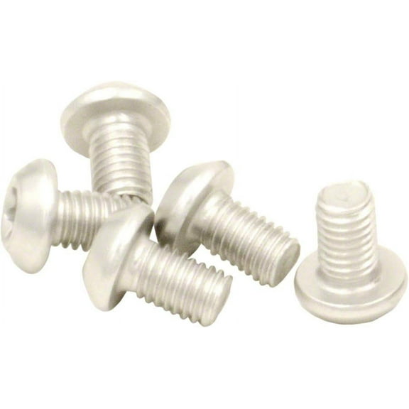 Wolf Tooth CAMO Chainring Bolt - Silver