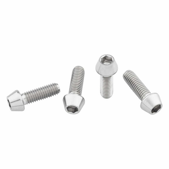 Wolf Tooth Titanium Water Bottle Cage Bolts, 4 Piece, Standard Head Raw