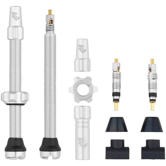 Wolf Tooth Components Tubeless Valve Stem Kit, 60mm, Raw Silver