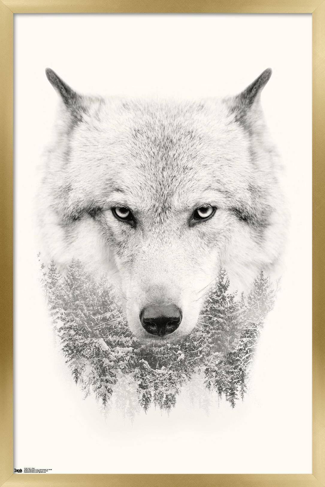Wolf - Trees Wall Poster, 14.725" x 22.375", Framed