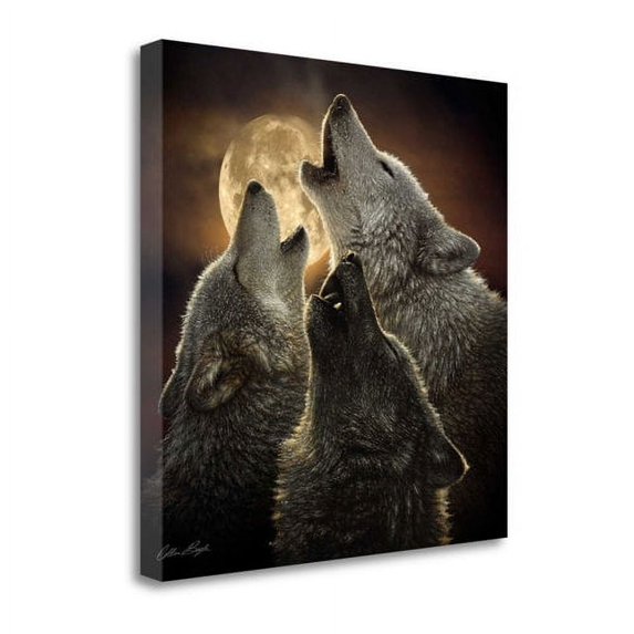 Wolf Trinity' Photographic Print on Canvas