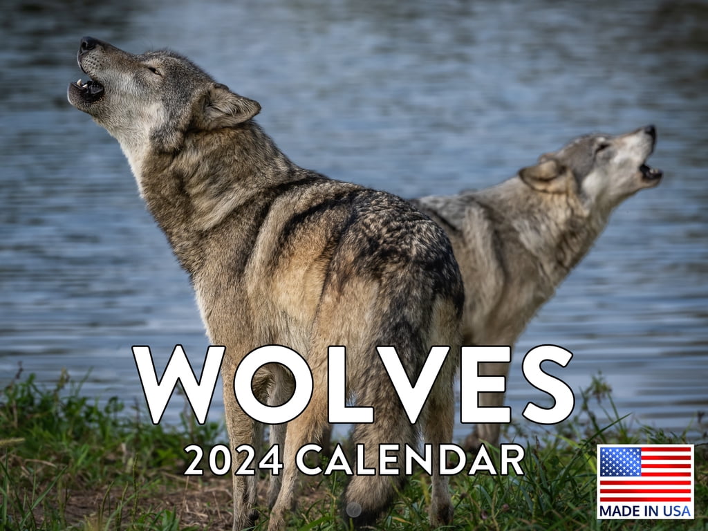Wolf Wolves Calander 2024 Wall Calendar Wolf Calendar 2024