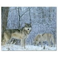 thumbnail image 1 of Wolf Wolves Ceramic Tile Mural Kitchen Backsplash Bathroom Shower, 403115-M54, 1 of 3