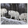 thumbnail image 1 of Wolf Wolves Ceramic Tile Mural Kitchen Backsplash Bathroom Shower, 403121-L54, 1 of 3
