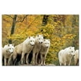 thumbnail image 1 of Wolf Wolves Ceramic Tile Mural Kitchen Backsplash Bathroom Shower, 403122-XL64, 1 of 3