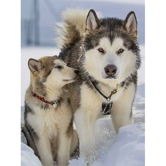 Wolf and Cub in Snow - 3D Lenticular Poster - 12x16 Print