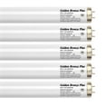 thumbnail image 1 of Wolff System GoldenBronze Plus F71T12 100W Bipin Tanning Bulbs - Wolff Bronzing! - 12 Pack Box, 1 of 5