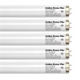 thumbnail image 1 of Wolff System GoldenBronze Plus F71T12 100W Bipin Tanning Bulbs - Wolff Bronzing! - 8 Pack Box, 1 of 5