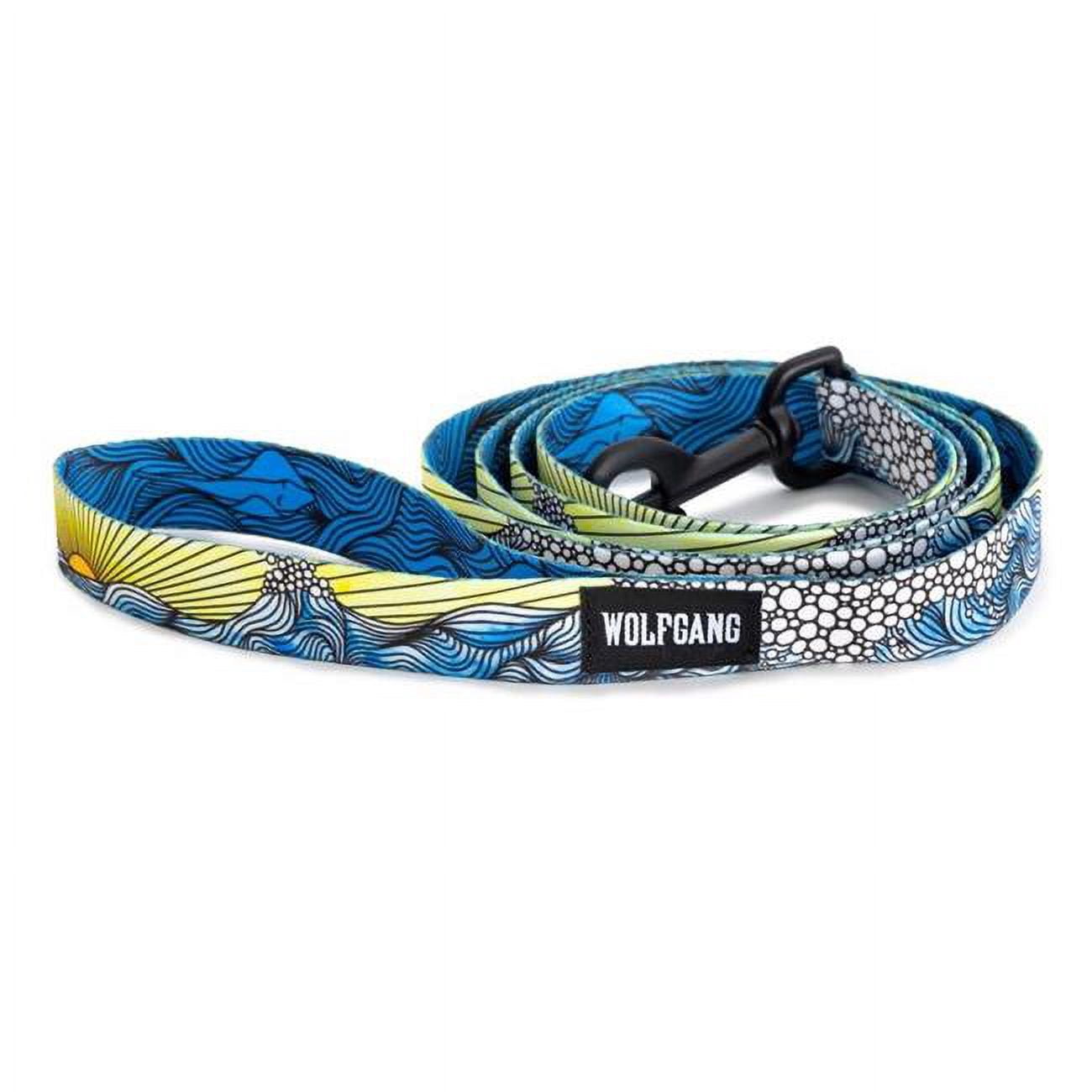 Wolfgang 8093084 6 in. Multi Color Dawn Patrol Polyester Dog Leash, Medium & Large