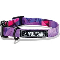 Wolfgang Dog Training Collar for Small Dogs Nylon Buckles Adjustable Dog Collars Dog Accessories for Training & Walking DayDream Print, 5/8 Inch x 8-12 Inch