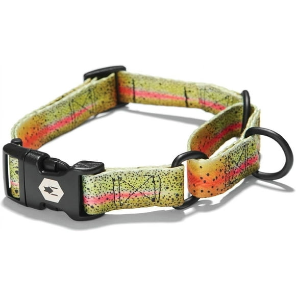 Wolfgang Martingale Collar for Dogs Walking & Training Dog Collar for Large Dogs with Buckles Dog Accessories CutBow Print, 1 Inch x 18-22 Inch