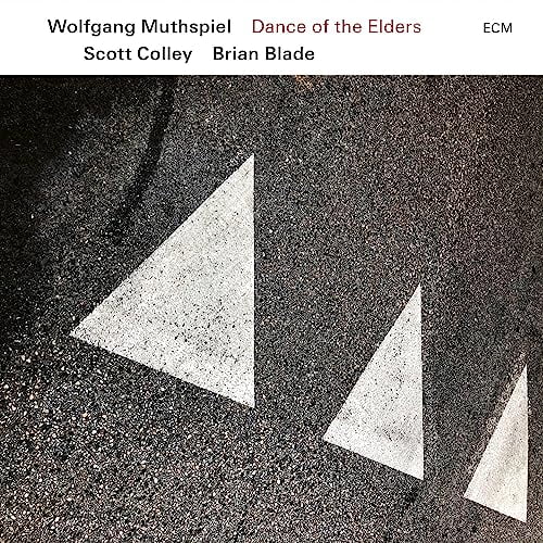 Wolfgang Muthspiel/Scott Colley/Brian Blade Dance of the Elders Music CDs