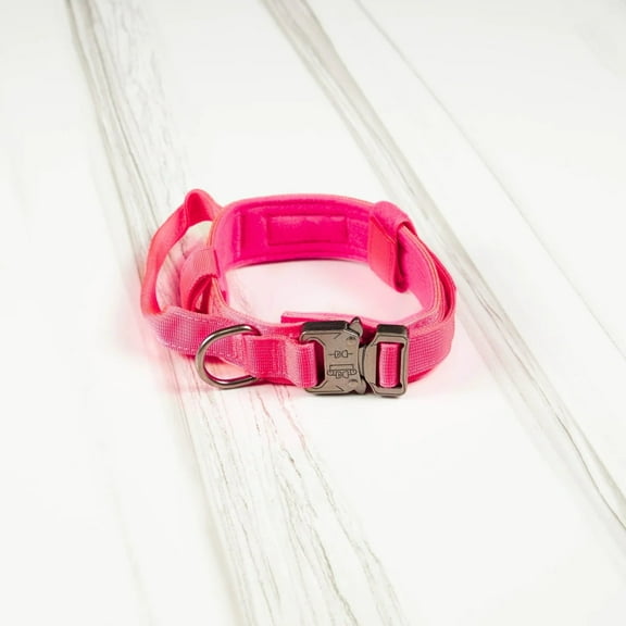 Wolfpak Tactical Nylon Dog Collar Pink Goddess