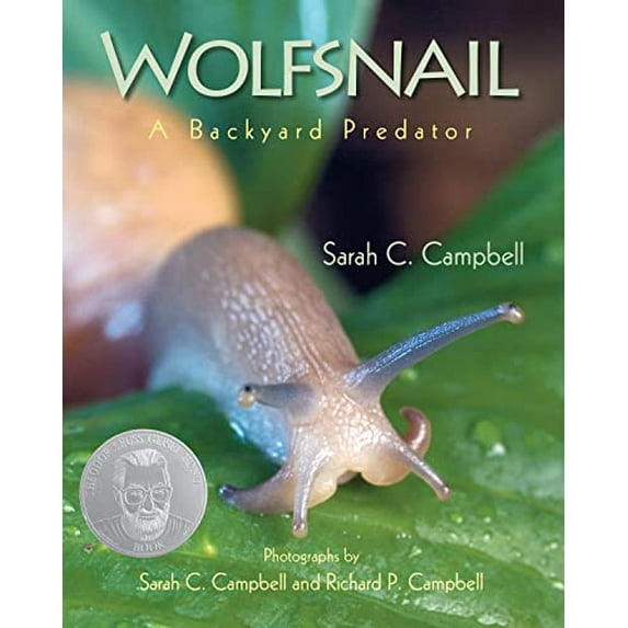 Pre-Owned Wolfsnail: A Backyard Predator (Paperback) 1635928362 9781635928365