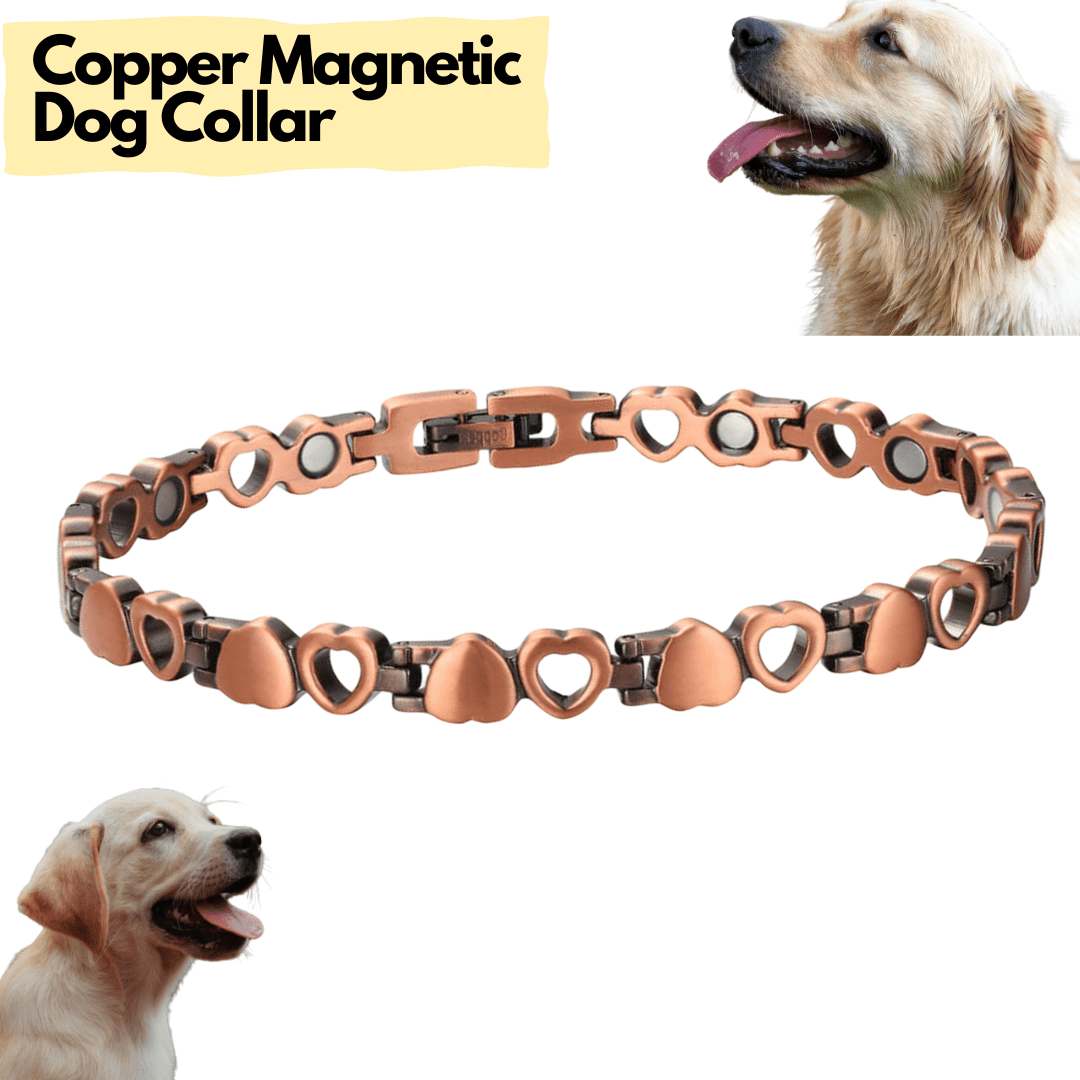 Large Dog Magnet Set Multi Dog Gold Magnets 18 Pieces 9 Heads & 9