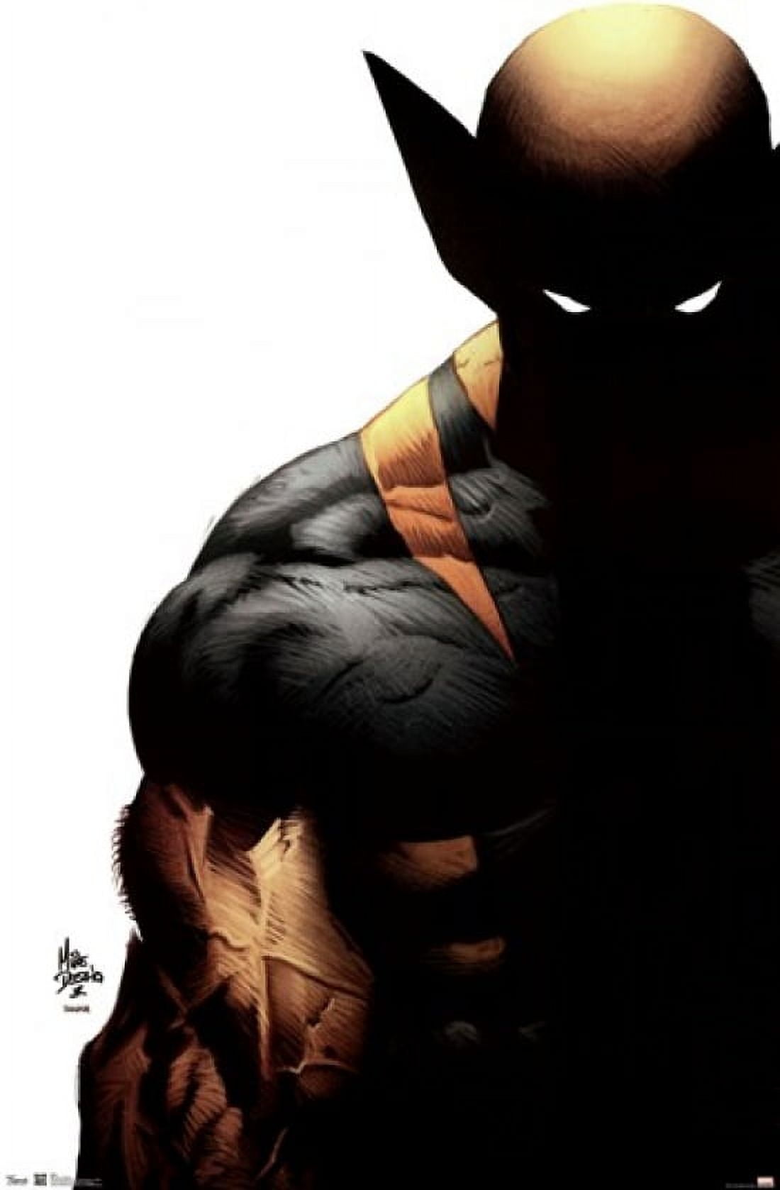 Wolverine - Shadow Laminated Poster Print (24 x 36) - Walmart.com