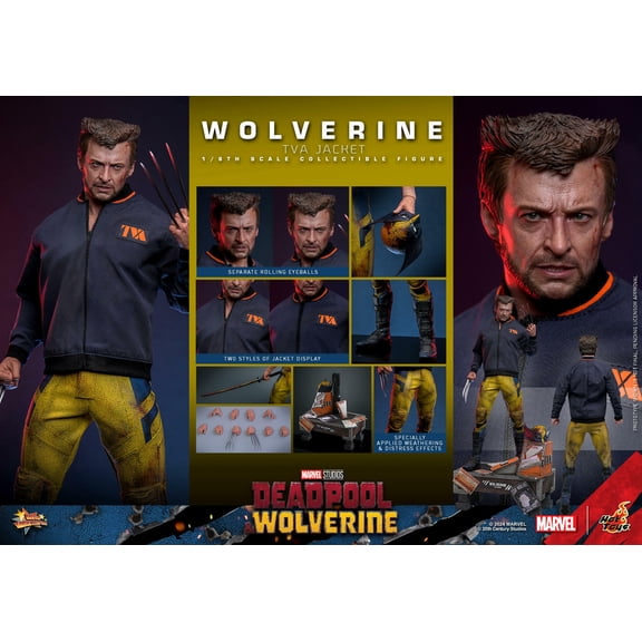 Wolverine TVA Jacket Version 1/6 scale 12" Figure Hot Toys Marvel 913607 MMS756