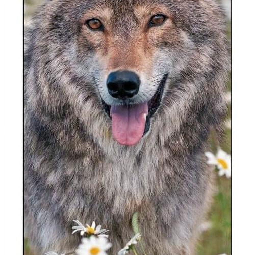 Wolves 2024 Slim Wall Calendar