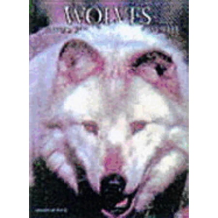 Pre-Owned Wolves : A Portrait of the Animal World (Hardcover) 9781880908334