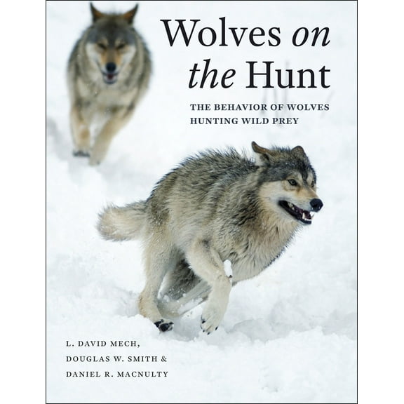 Wolves on the Hunt : The Behavior of Wolves Hunting Wild Prey (Hardcover)