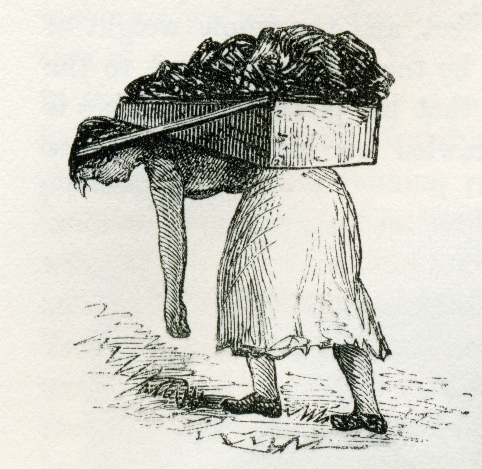 Woman Carrying Coal To Surface In East Scotland Mines In The 19Th Century From Cyclopaedia Of Useful Arts And Manufactures By Charles Tomlinson Canvas Art - Ken Welsh Design Pics (24 x 24)