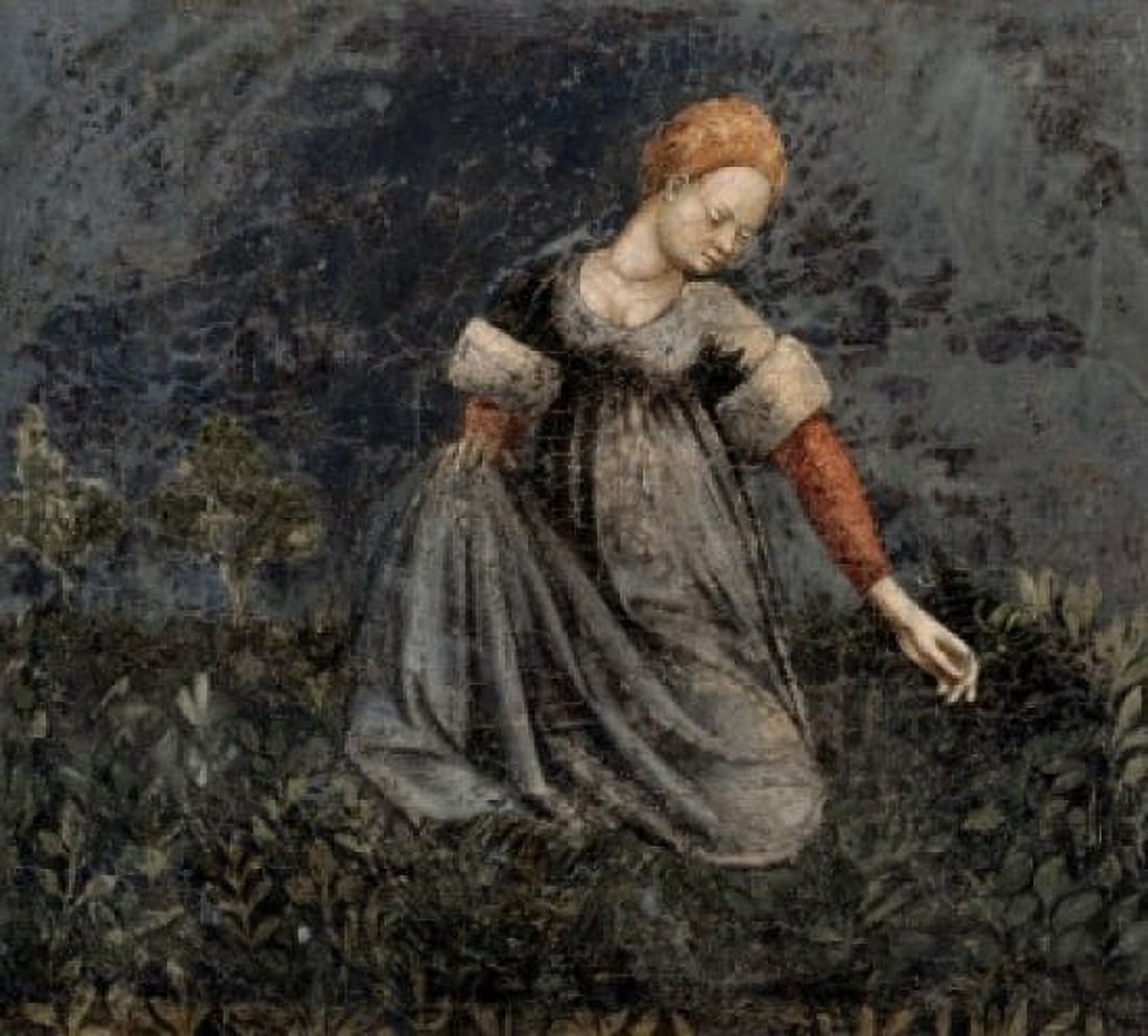 Woman Collecting Herbs in the Country Artist Unknown Fresco Italian Palazzzo della Ragione Padua Canvas Art - (18 x 24)