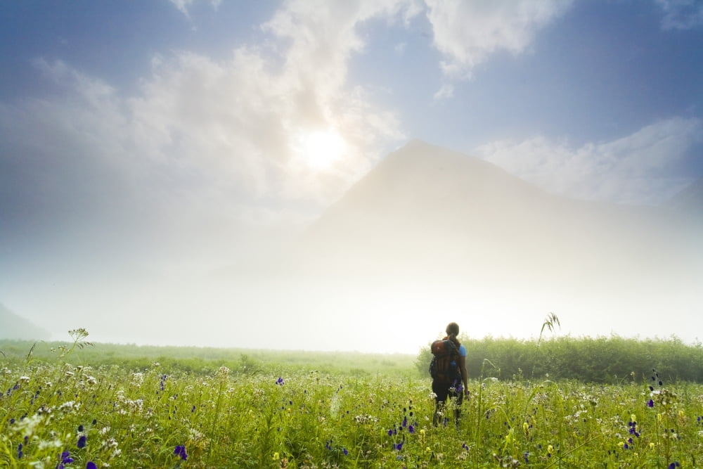 Woman Hiking On The Carter Lake Trail In Fog In The Chugach National Forest On The Kenai Peninsula Alaska Canvas Art - Michael DeYoung Design Pics (17 x 11)
