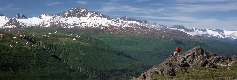 Woman Hiking Thompson Pass Southcentral Ak Summer Canvas Art - Michael DeYoung Design Pics (44 x 15)